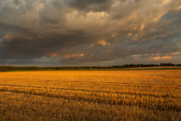 Evening rain cloud over a stubble field, Czulczyce, Poland