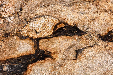 Foto op Plexiglas Natuurlijke Sedna - granietachtergrond, mooie textuur in gouden toon voor uw individueel ontwerpwerk. © Dmytro Synelnychenko