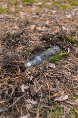 Glass bottle on the ground in a pine forest