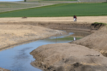 selz-renaturierung bei gau-odernheim