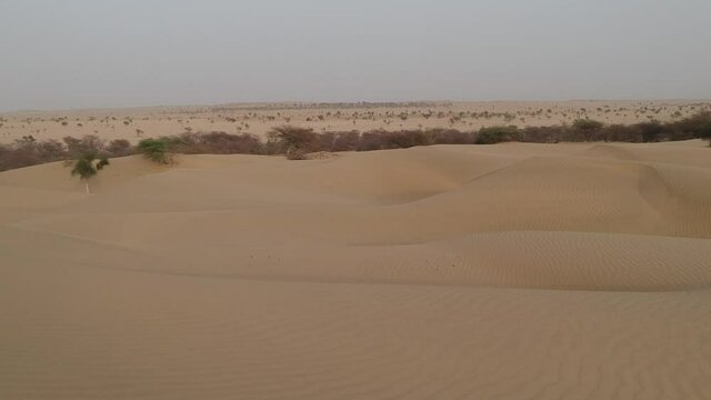 Thar Desert Landscape
