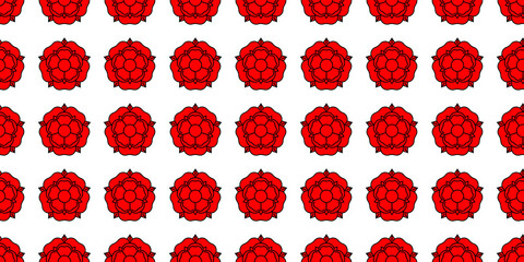 Tudoe rose of Englnd vector illustration.