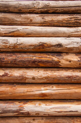 wooden texture, pine logs. wooden wall
