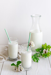 Obraz na płótnie Canvas A natural, healthy milk drink. Kefir, yogurt, lassi on a white background.