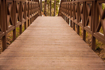 Old wooden bridge with stairs in forest. Staircase in the wood. Adventure and explore concept.