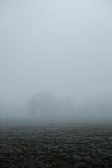 misty morning on the river