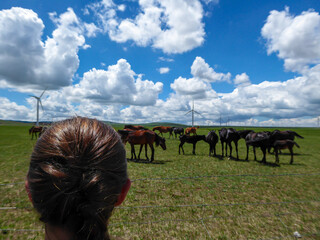 A woman with braided hair watching a heard of horses grazing under wind turbines build on a vast...