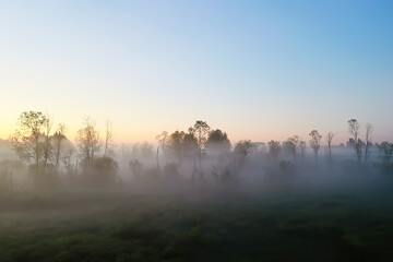 Fototapeta na wymiar evening fog landscape forest river, view morning forest beautiful background
