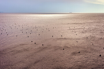 Beautiful seaview with Mussel Cultivation in the Gulf of Naples, Italy.