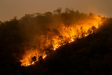 The orange forest fire on the mountain at night looks terrifying. Is spreading, causing dust and toxic fumes in northern Thailand. It is a big problem for Thai people in the summer.