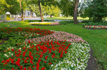 St. Petersburg. A beautiful city park with colorful flower beds on Elagin Island. Floral arrangements of begonias, marigolds and ageratum flowers in the shade of trees on a sunny day. Landscaping