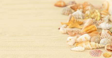Summer background with seashells on the sand and place for text	
