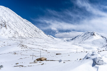 beautiful landscape of mountain range in Ladakh covered in snow, great place for snow and winter sports.