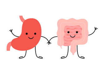 Digestive cute healthy happy stomach and intestine gut characters. Connection, unity of stomach and intestine gut. Health digestive tract, colon, bowel concept. Vector flat cartoon illustration