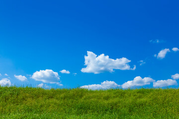 Fototapeta na wymiar 緑の草原と青空に雲