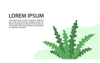 Banner with a place for text and a beautiful green plant. Vector flat illustration.