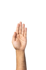 Obraz premium Hand raised up to the air isolated white background. Raise your hand to vote for the majority of votes Election of the leader of the country. With clipping path.