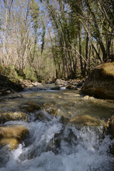 stream in the forest of Tuscany