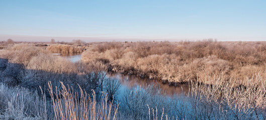 Siberian river Vagai in the early morning. The grass and bushes are covered with frost.