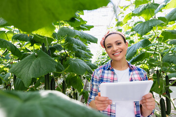 african american farmer with digital tablet near cucumber plants on blurred foreground