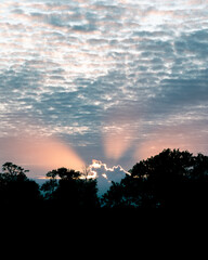 Orange sun beams from a cloud during summer sunset with silhouette of trees in front