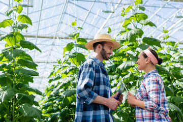 Obraz premium happy interracial farmers with digital tablet and clipboard talking in glasshouse