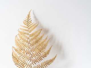Golden fern isolated on white background