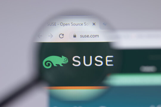 DIE 216 BESTEN BILDER, STOCKFOTOS UND ZU „Suse