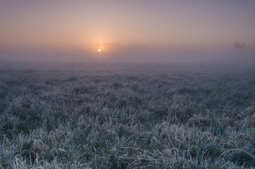 MISTY SUNRISE - A picturesque morning over the meadows

