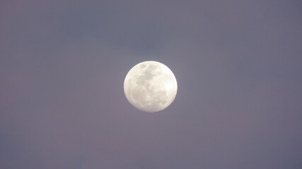 Obraz premium moon in the night sky