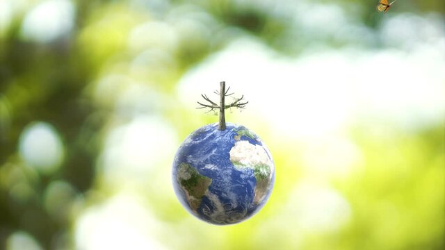Butterfly on Planet Earth globe ball and growing tree  on green sunny blur background. Saving environment, save clean planet, ecosystem concept. 3D Rendering.