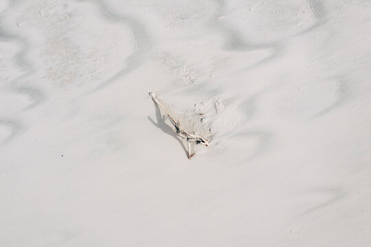 Aerial view of white sand beach landscape in Curonian Spit near Baltic sea in Klaipeda, Lithuania.