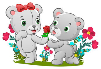 The cute bear is kneeling to his girl and holding the red rose