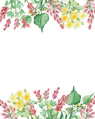 Watercolor hand painted nature wild floral banner with pink heather and yellow lime linden blossom flowers bouquet on the white background for invite and greeting card with space for text
