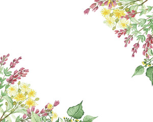 Watercolor hand painted nature floral corner frame with pink heather and yellow lie linden flowers on green branches bouquet on the white background for invite and greeting card design