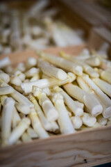 Asperges blanches dans un magasin de producteur 