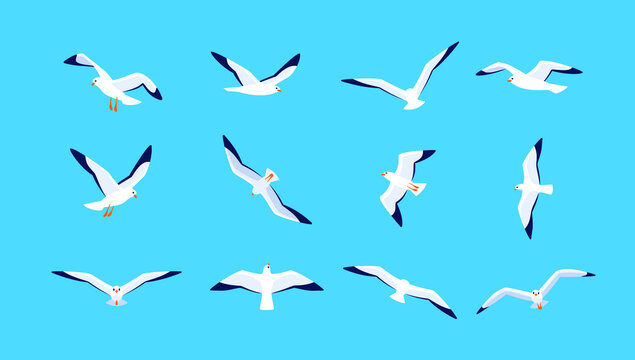 Sea gulls flying in sky. Set of seabirds. Isolated silhouettes on blue background. Vector illustration in flat style.