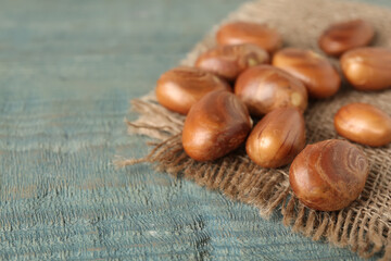 Raw jackfruit seeds and sackcloth on light blue wooden table, closeup. Space for text