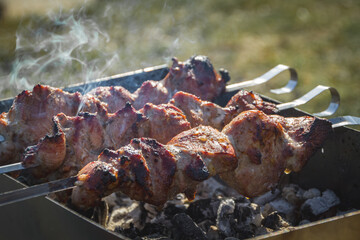 kebabs cooked on charcoal picnic in nature