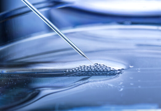UK, Buckinghamshire, High Wycombe, Close-up of petri dish and pipette