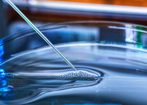 UK, Buckinghamshire, High Wycombe, Close-up of petri dish and pipette