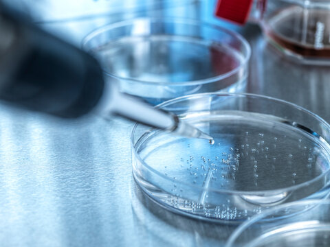 UK, Buckinghamshire, High Wycombe, Petri dish and pipette in laboratory