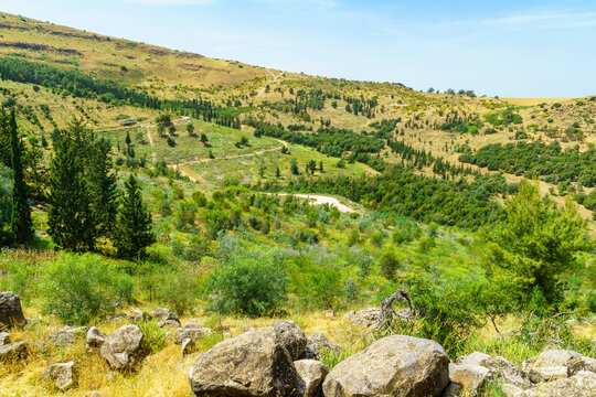 Landscape of the Eshkol forest