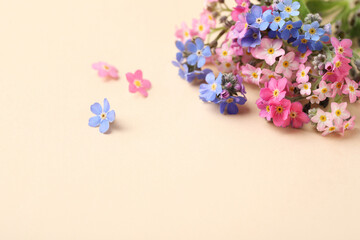 Beautiful Forget-me-not flowers on beige background, closeup. Space for text