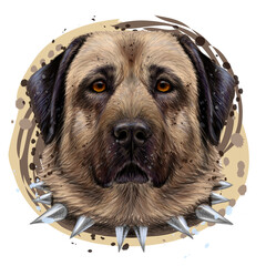 Kangal dog. Color, graphic portrait of an Kangal dog in watercolor style on a white background. Separate layers. Digital vector graphics.