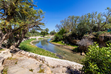 Obraz premium A small stream of clear water in a place that used to be a large pool, in Gan Hashlosha Park in the Beit She'an Valley
