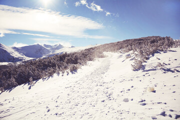 Fototapeta na wymiar Beautiful Winter Mountain Landscape in Bulgaria ,Rila Mountain