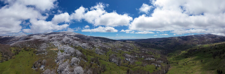 180 degree photo of the beech forest of the Nebrodi mountains in Sicily during a light snowfall in early spring. View of Etna. Monte Soro and the Aeolian Islands with the Tyrrhenian Sea. 