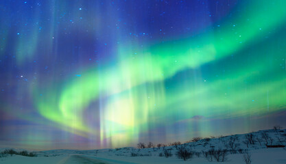 Northern lights (Aurora borealis) in the sky over Tromso, Norway