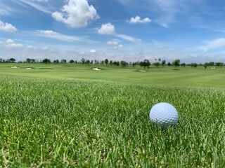 Golf ball on the green for golf course concept